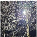 천마 태권도장 이미지