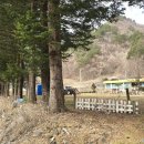 가산초 품걸분교장 | 강원도 폐교(廢校) 현황 - 율전초교 문암분교(폐교)