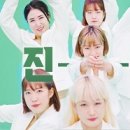 지피