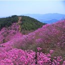 여수 영취산, 강화 고려산, 창원 천주산 이미지