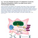 Re: 4기 전이암 암세포와 함께 살아가기(living with cancer) 응급치료 가설 이미지