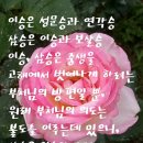 삼승 이미지