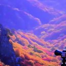 [7편] 세계 132개국에서 가장 아름다운 설악산의 만추(晩秋) 이미지