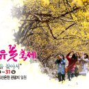 산수유민박 이미지