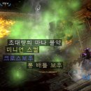 위즌 이미지