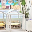 플라워퍼피 이미지