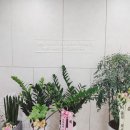 청솔치과의원 이미지