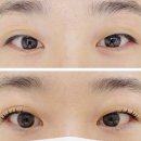 웬디브로우