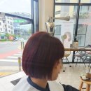 스파커치4