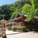 소요산관광지 | ⛰️ 가을 단풍의 명소! 동두천 소요산 등산 코스 완전 정복 🍁