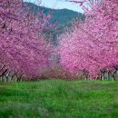 꽃길만걷자6 이미지