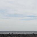 각시랑칼국수 이미지