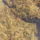 남산평기리 이미지