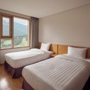 소노캄 델피노 A . B 이미지