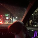 영암공원 | {영암/군서면} 강아지와 함께 상대포역사공원 산책코스