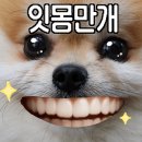 이도현참치