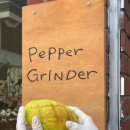 2025 6월 시티투어 | 경남 진주시 칠암동 후추 소금빵 달인 | 생활의달인 988회 2025년6월23일