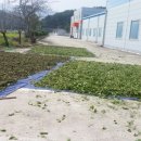 시장이 반찬 이미지