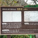 홍천 팔봉산 등산코스 완벽 정복, 여덟 개의 봉우리가 빚어내는 짜릿한 산행기 이미지