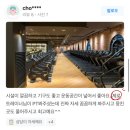 광화문발레핏앤자이로토닉 | [광화문헬스장][종각헬스장] 말해 뭐해 최고의 만족도...센터 - 자마이카 피트니스 앤 골프100 종로점