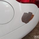 고양시 일산 부식된 녹난 자동차 복원 수리 - 식사동 SM5 판금도색 판금도장 이미지