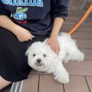 (주)엔마인