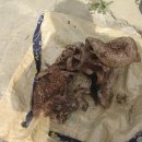 하천2리 경로당 이미지