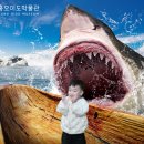 오토오아시스 홈플러스 시흥점 | 시흥 오이도박물관｜맛자랑칼국수까지 다녀온 솔직 후기