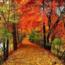 치매예방 웃음체조 이미지