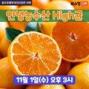 쇼핑농수산