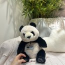 루이하우스 | 8월 에버랜드 바오하우스 &amp; 판다월드 루이 후이 아이바오 직관 후기 ♡