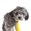 센텀동물병원 이미지