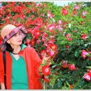 백조호수공원 이미지