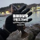 어달항 | 동해 어달항 낚시 후기｜구멍치기 포인트