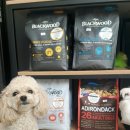 퍼핏(우리집강아지미용실) 이미지