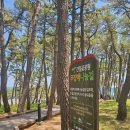 울주군특산품판매장 | 울산 제대로 즐기고 온 애견동반 여행 2일차 02 / 간절곶 - 카페 그릿비