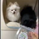 탄지교육 이미지