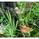 산음숲자연학교 이미지