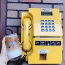 양지-2731 | 감성적인 분위기를 담은 카페 황리단길카페 양지다방 후기입니다.