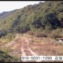 능성동농장 네이버블로그