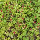 다송목장 이미지