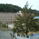 임실 동중학교 이미지