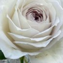 브리딩 팜 이미지