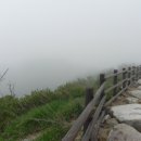 나래목장 Daum카페