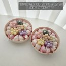 조은나래 | 대전 상견례 선물 고민 끝!! 🎁 설기만나 + 씨드미 서양난 🌷(죽동꽃집)+ 도라지정과(조은나래) 후기