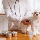 가능동물병원 이미지