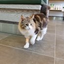 테크노연합 동물병원 이미지