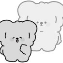 호천마을 마을관리 사회적협동조합 이미지