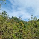 시골촌놈 | 경희대학교 주변 맛집 완전 정복 가이드 시골 촌놈의 솔직 후기 8월 1일