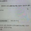 루라 민박 Daum카페